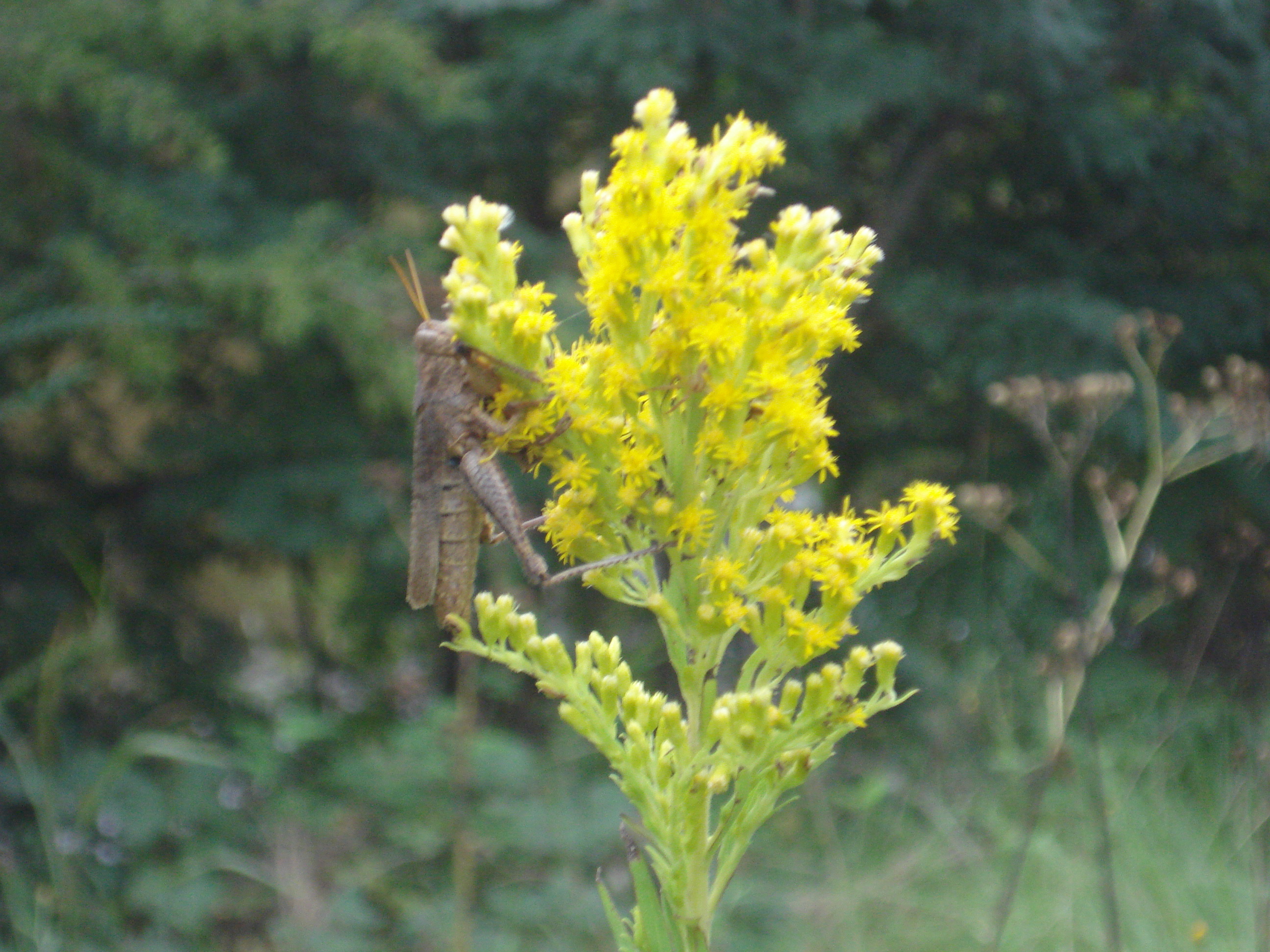 fotos/2011 - Los Reartes/DSC00573.JPG